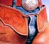 Tan chaps denim and belt buckle