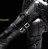 Dog master boots