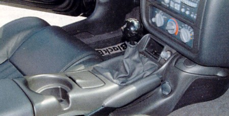 Black Bird Shifter