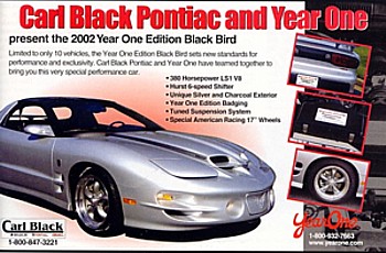 year one black bird