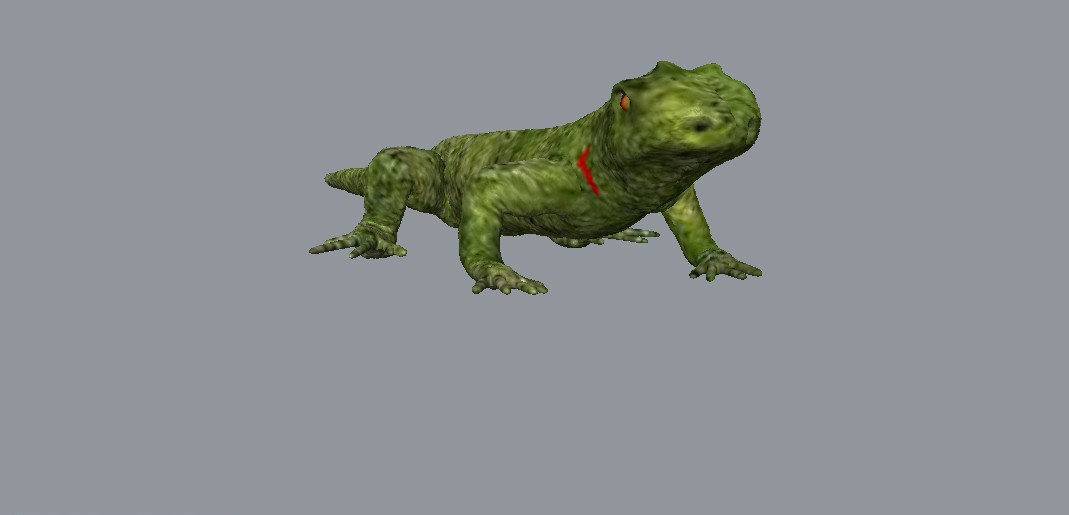 lizard