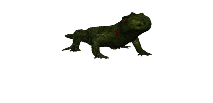 lizard