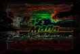 Raro Mana Neonised