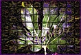 Weaved Leaf