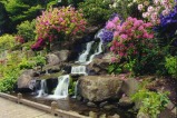 Crystal Springs Gardens, Portland, OR