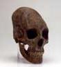 Hunnic skull found in Ossmannstedt