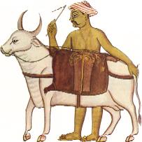 An Aryan farmer and his cow