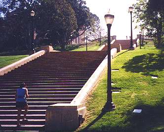 Steps at UCLA