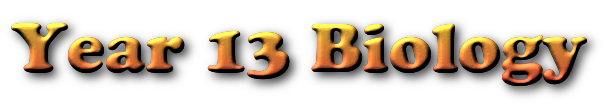 Back (accesskey b)