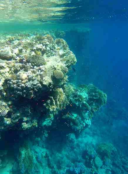 IT-270 Final Project