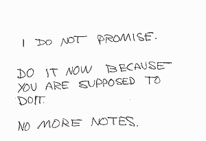 I DO NOT PROMISE. DO IT NOW BECAUSE YOU ARE SUPPOSED TO DO IT. NOT MORE NOTES.
