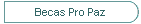 Becas Pro Paz