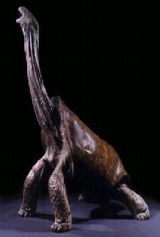 Figura de um esp�cime. Clique para ampliar.