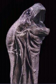 Figura de um esp�cime. Clique para ampliar.
