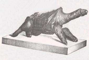 Figura de esp�cimes. Clique para ampliar.