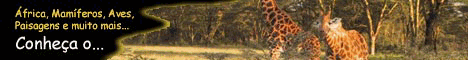 Clique aqui e visite o site Animal World