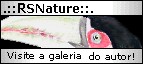 Visite a galeria de artes zool�gicas e paleontol�gicas do autor!