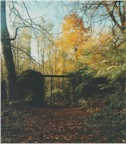 Desert de Retz,  Grotto Entry (For�t de Marly Entrance), November 1998