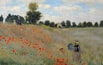 Poppies Blooming.jpg