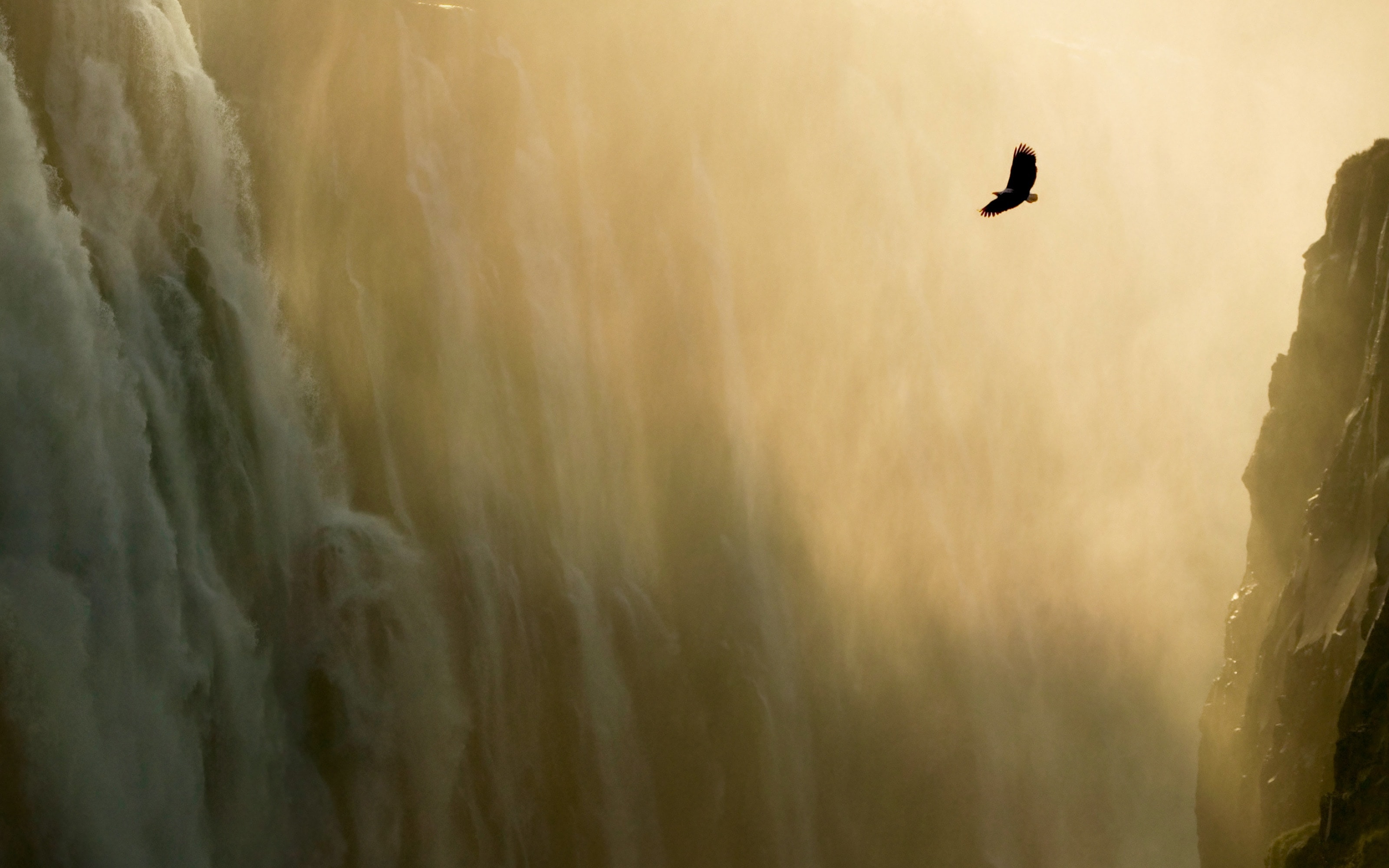 Eagle & Waterfall.jpg