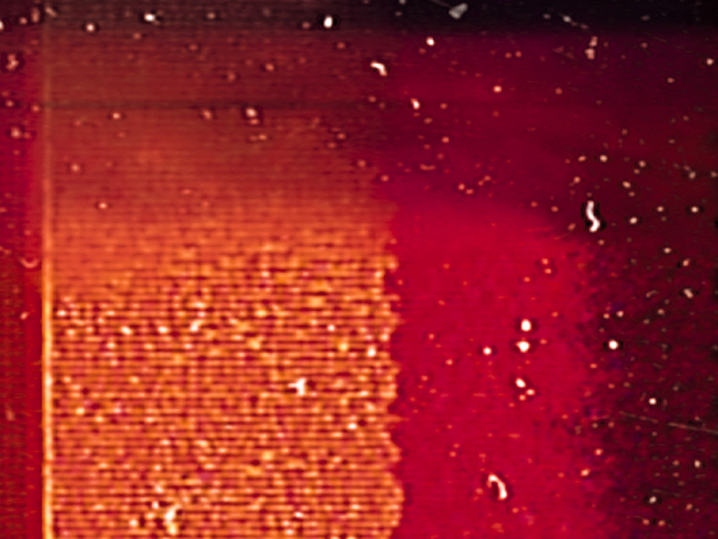 Loading Image