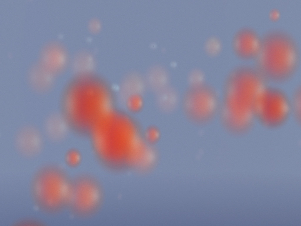 Loading Image