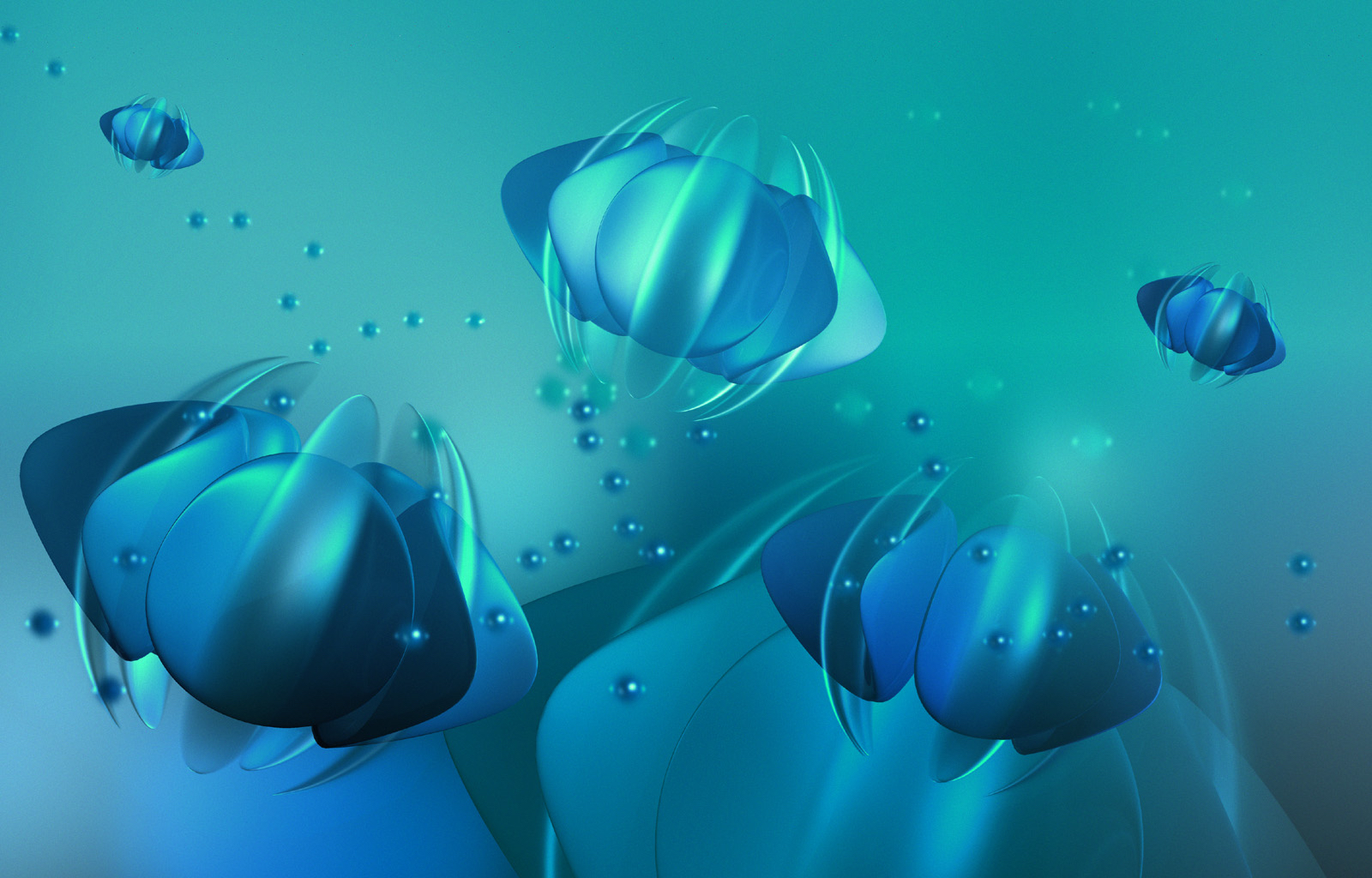 Loading Image