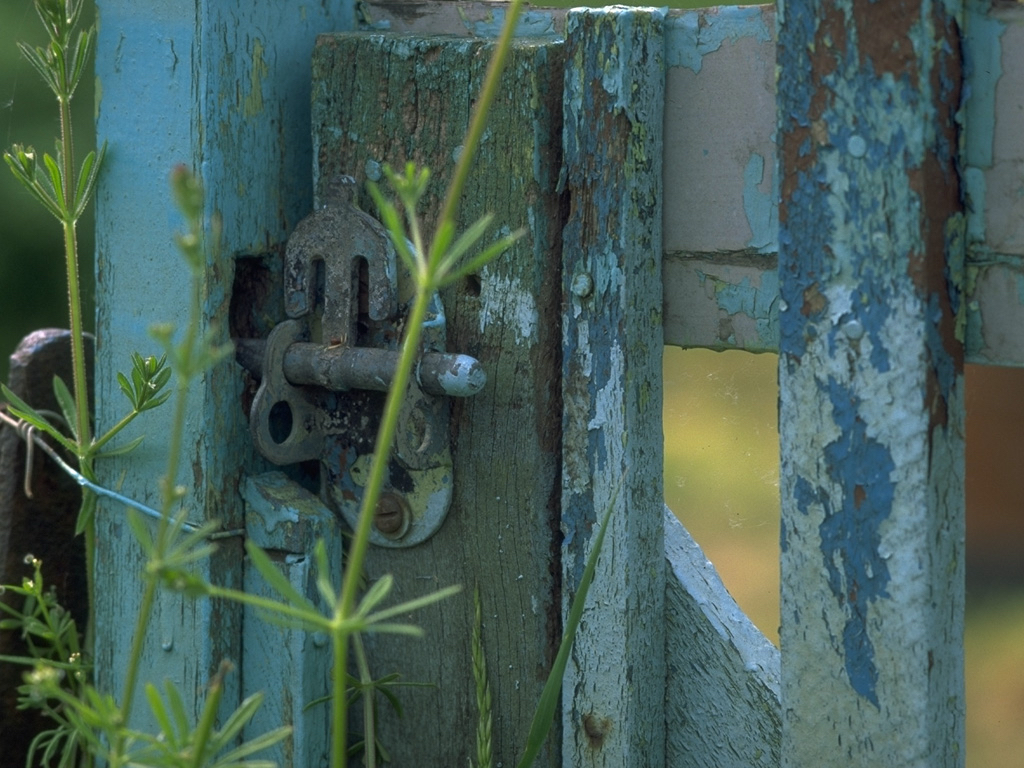 Loading Image
