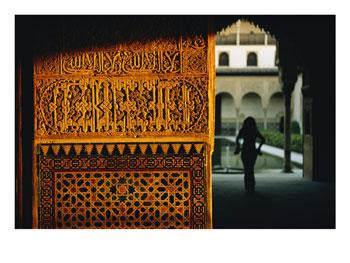 Alhambra Wall Decoration Detail
