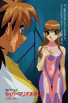 Saber Marionette J Novel Vol. 12