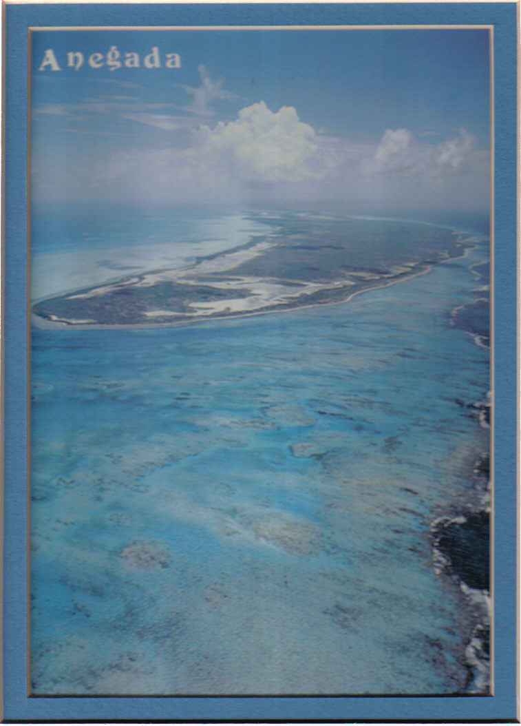 Anegada, BVI Cottage For Sale