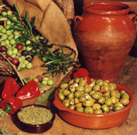 ALI&Ntilde;O DE ACEITUNAS - Santa B&aacute;rbara de casa - Andevalo y Sierra - Huelva