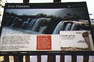 No Skinny-dipping Allowed!