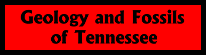 From the Great Smoky Mountains in the east to the Mississippi River Valley in the west, Tennessee has a rich and diverse array of geologic features, fossils, and mineral resources. These are featured in this gallery, along with maps, paintings, models, and photographs illustrating Tennessee's geologic history.