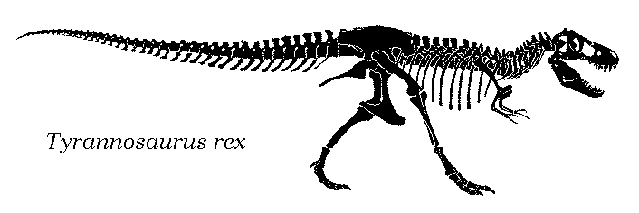 rexskeltr2.gif (4788 bytes)