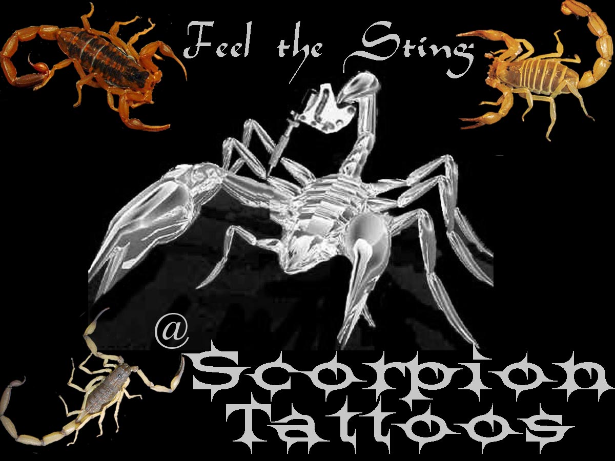 Welcome to ScorpionTattoos......