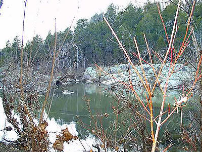 Except for all the bushes, this is a good spot to fish.