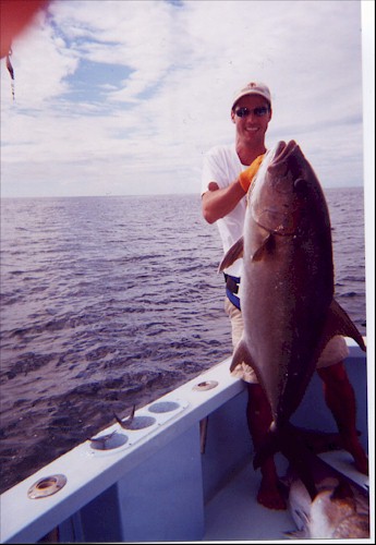 Amberjack