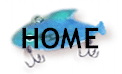 Go to the Home Page