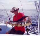 Mahi Mahi