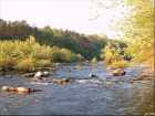Millstream Gardens