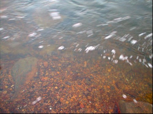 Millstream Gardens clear water