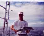 Yellowfin Tuna