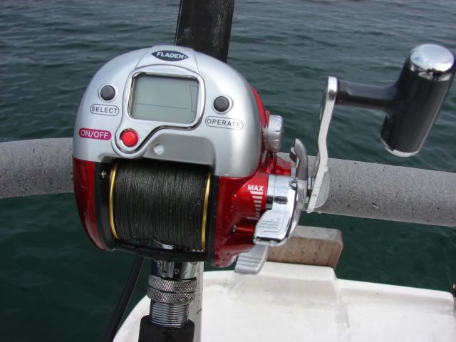 FLADEN "Maxximus Electric"