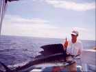 Sailfish