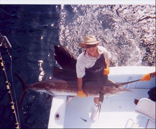 Sailfish