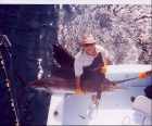 Sailfish