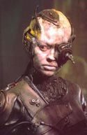 Seven Of Nine