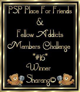 PSP Place For Friends & Fellow Addicts Award