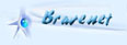 Bravenet Website